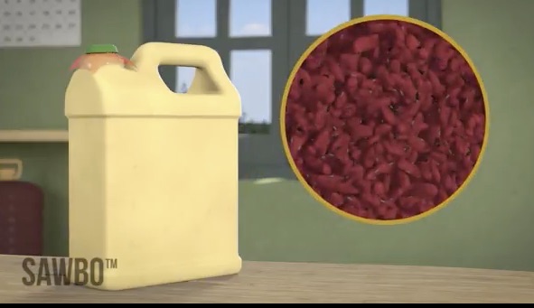A still from a SAWBO animation on properly storing beans.