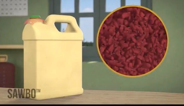 A still from a SAWBO animation on properly storing beans.