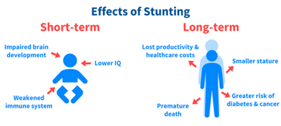 An infographic showing the long- and short-term effects of stunting.
