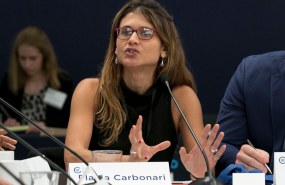 Council expert Flavia Carbonari