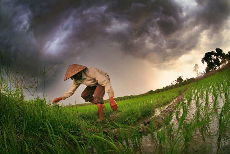 Advancing Global Food Security in the Face of a Changing Climate ... Biology Diagrams