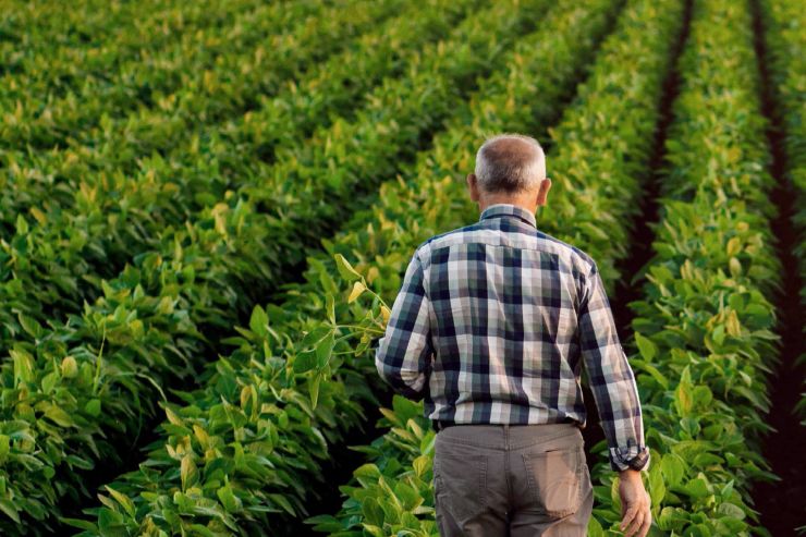 Farmers On The Front Line: Agriculture's Role In Fighting Climate 