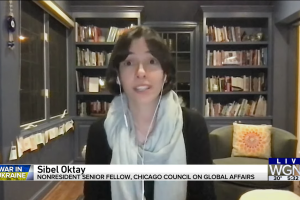 Screen shot of Sibel Oktay in an office with bookshelves in background on WGN Chicago.