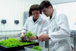 Two young people examine a plant in a lab.