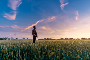 A young man stands in a field of wheat and watches the sunset.