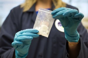 A bag of 4-fluoro isobutyryl fentanyl which was seized in a drug raid is displayed at the Drug Enforcement Administration 