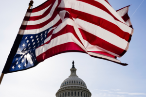 A protester waves an upside down American flag in front of the Capitol on March 4, 2025.