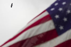 An eagle flies by an American flag whipping in the wind 