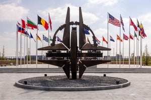 Flags of NATO alliance members flap in the wind