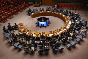 UN Security Council