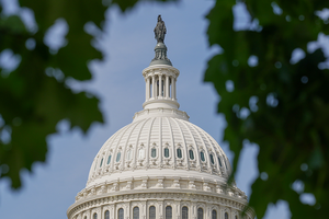 The top of the US capitol photographed from in between two tree branches on September 2, 2026.