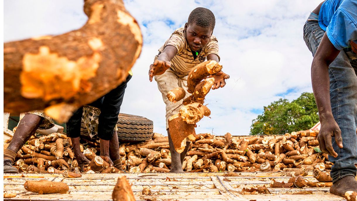 Considering a Soil Initiative for Africa | Chicago Council on Global Affairs