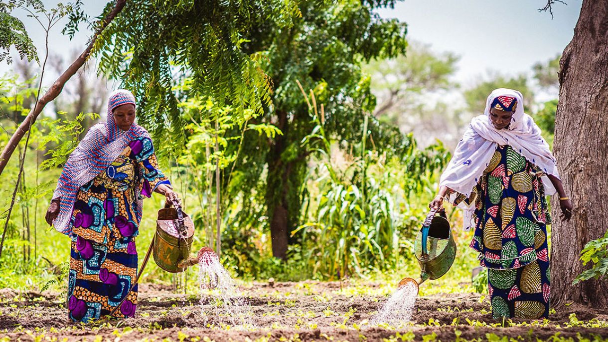 Promoting Social Equity and Economic Inclusion in Urban Waterway Development | Chicago Council on Global Affairs