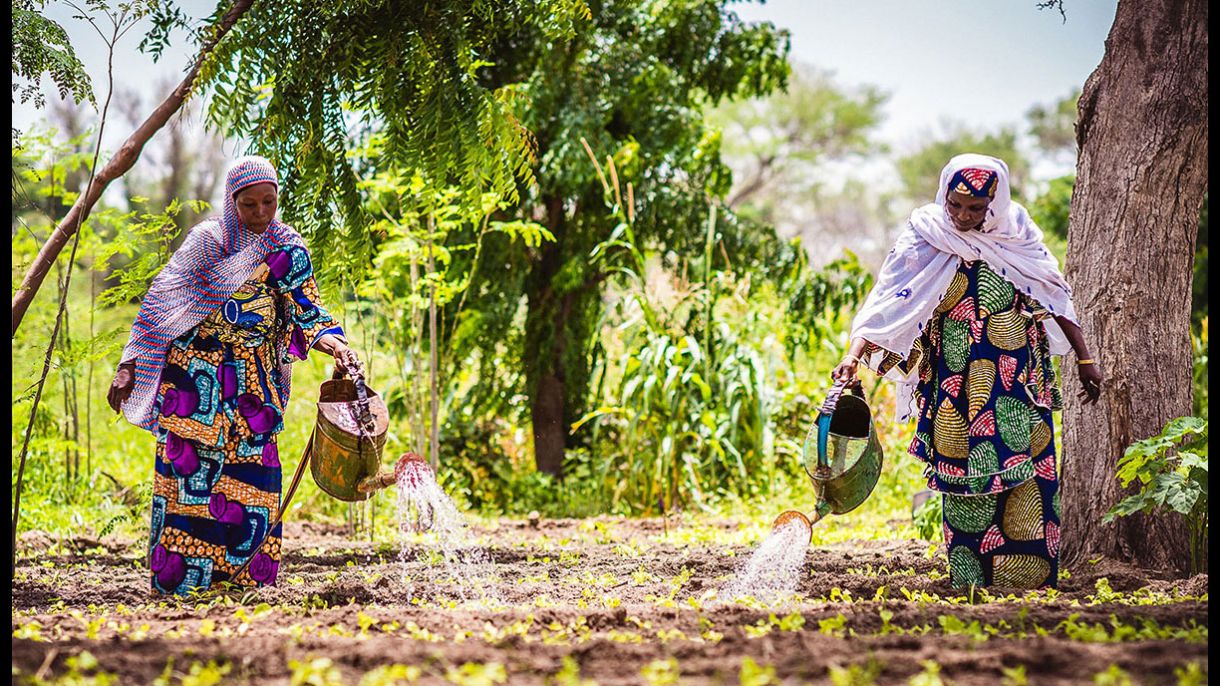 Global Food Security by the Numbers | Chicago Council on Global Affairs