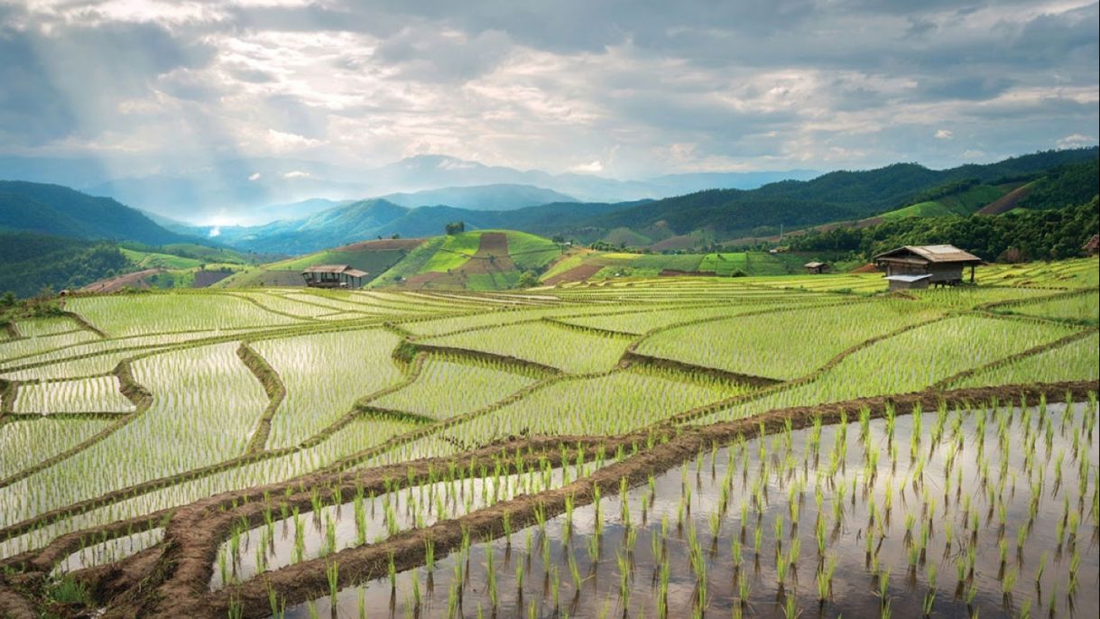 From Scarcity to Security: Managing Water for a Nutritious Food Future | Chicago Council on Global Affairs
