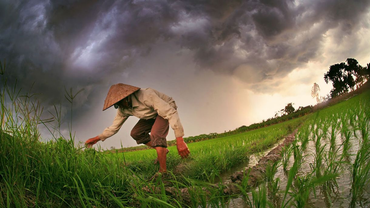 Advancing Global Food Security in the Face of a Changing Climate | Chicago Council on Global Affairs