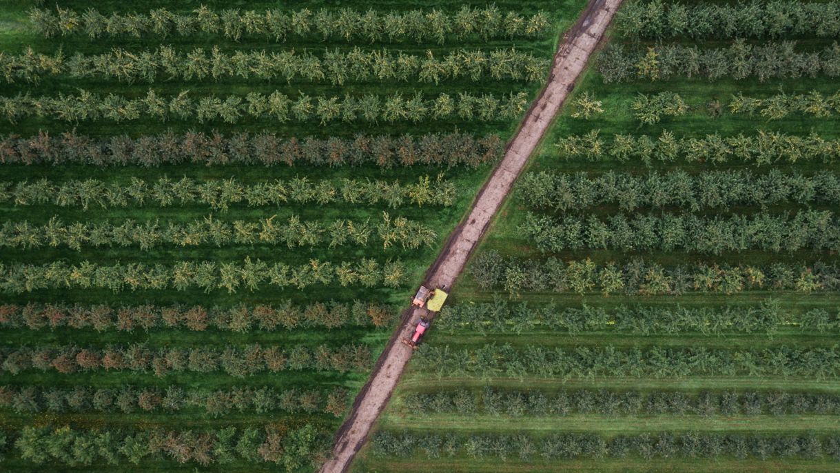 Aerial view of a farm in Bristol, England
