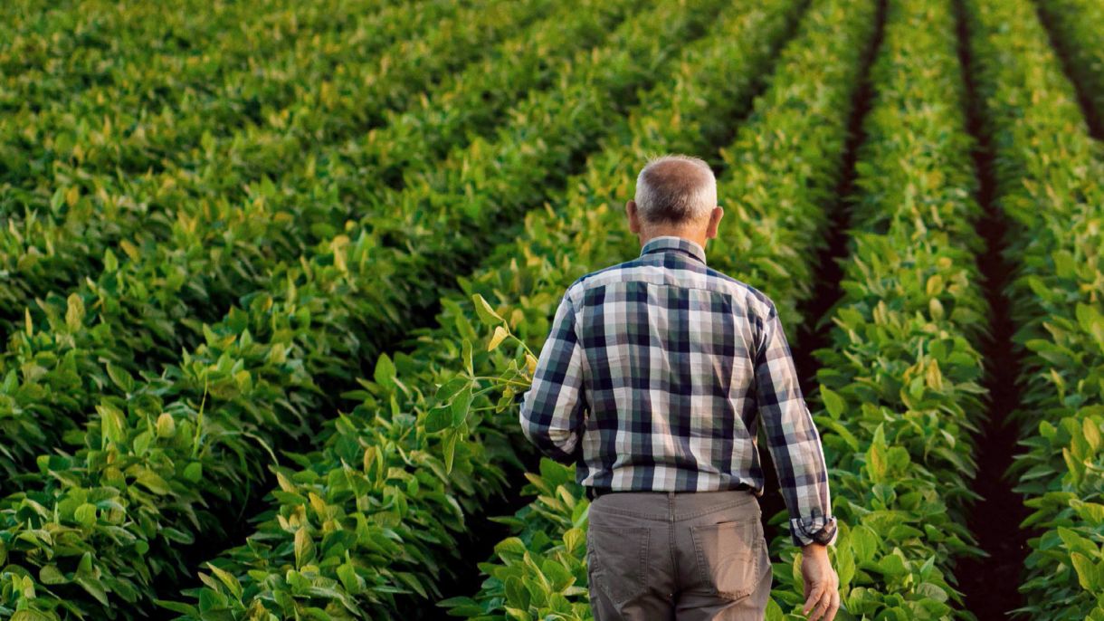 Farmers on the Front Line: Agriculture's Role in Fighting Climate Change | Chicago Council on Global Affairs