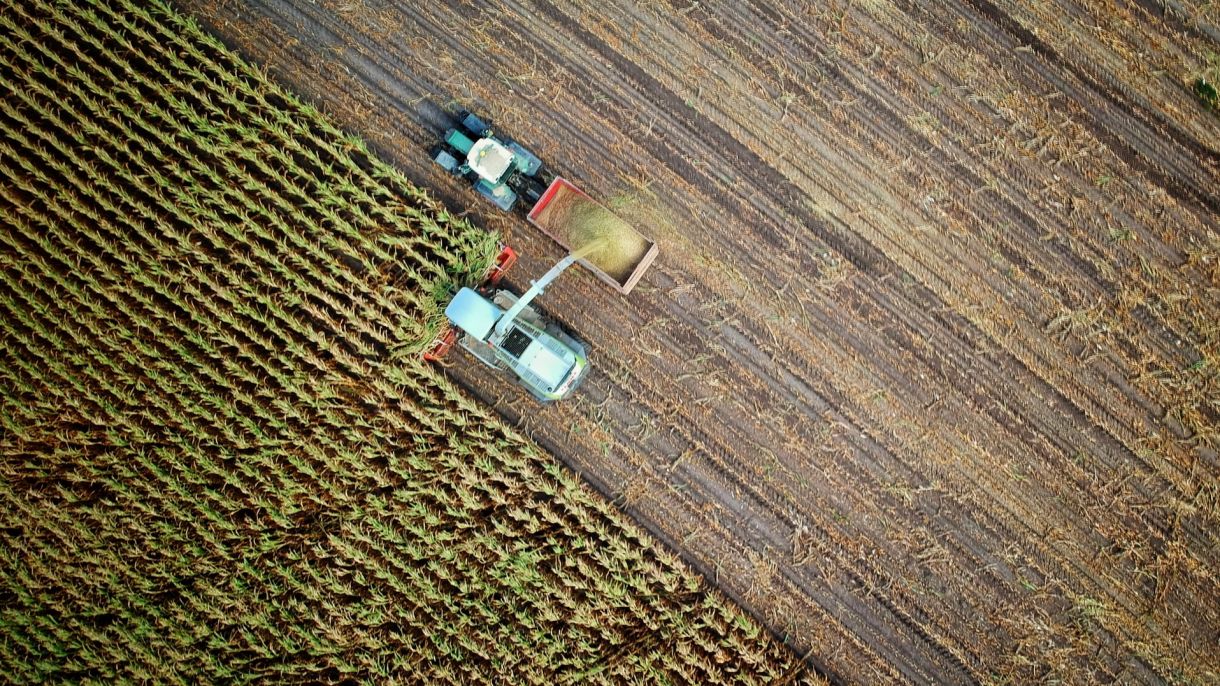 Growing Markets, Growing Incomes: Leveraging Trade Facilitation for Farmers | Chicago Council on Global Affairs