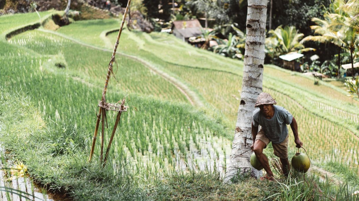 Hunger Hotspots, Beefy Promises, & Farmers to Families | Chicago Council on Global Affairs