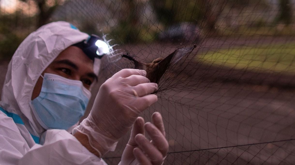 Preventing the Next Pandemic | Chicago Council on Global Affairs