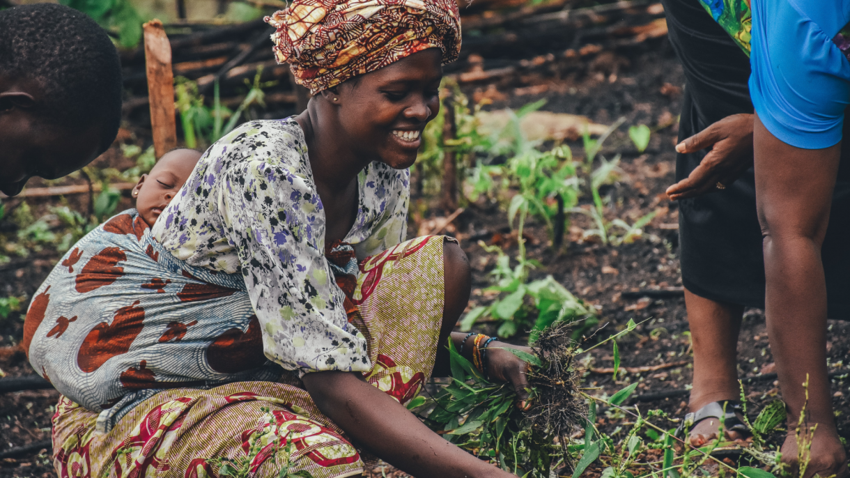 The United Nations Food Systems Summit: All You Need to Know | Chicago Council on Global Affairs