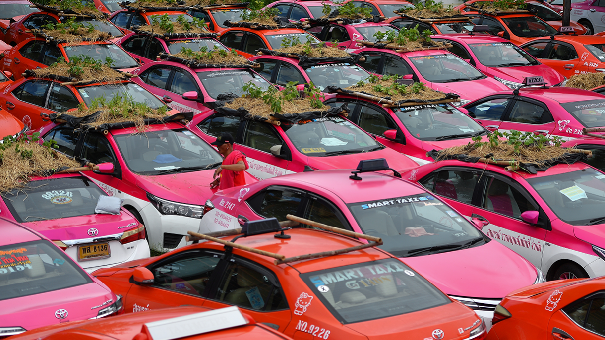 The People's Summit, Land Rights, and Taxi Gardens | Chicago Council on Global Affairs