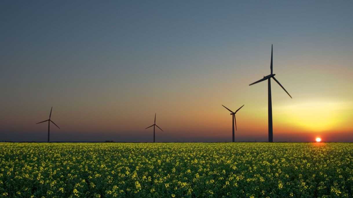 Image of wind turbines, a common example of alternative wind energy.