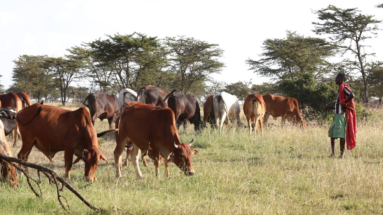 The Last Hunger Season: A Year in an African Farm Community on the Brink of Change | Chicago Council on Global Affairs