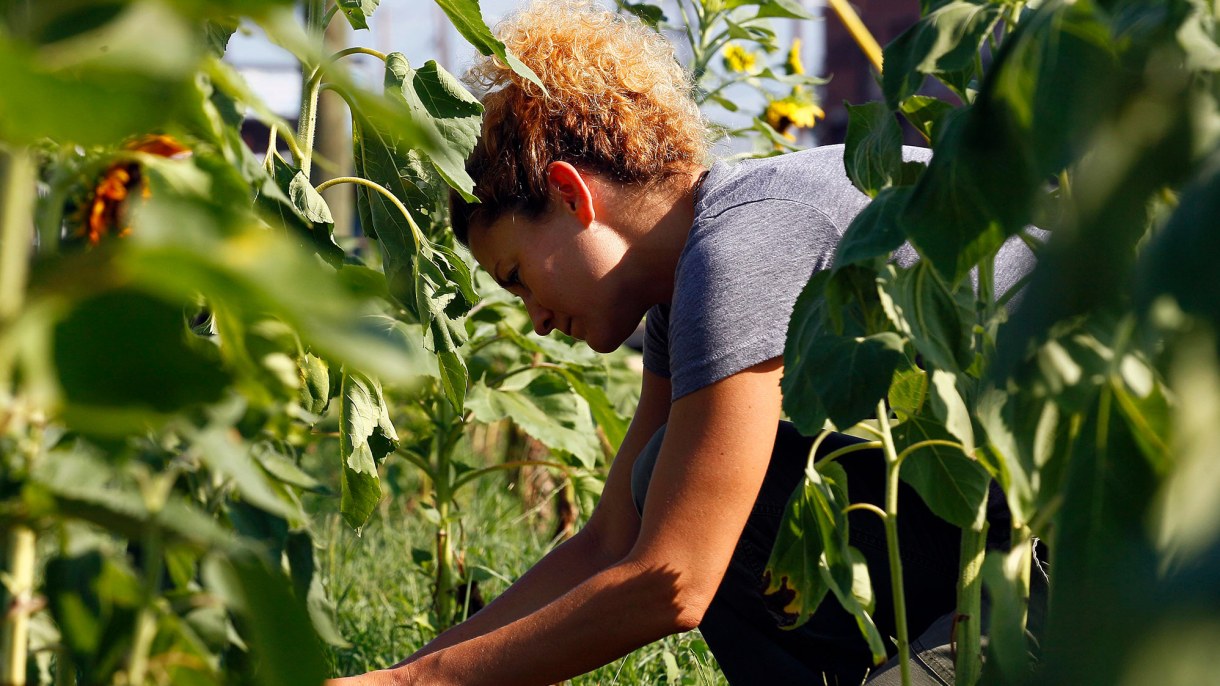 Inspiring Action: Getting Youth Involved in Agriculture | Chicago Council on Global Affairs