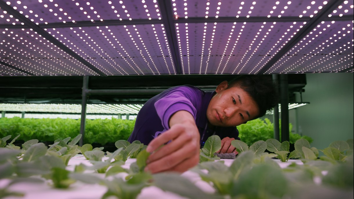 Bridging the Gap: Accelerating Technology Adoption for Sustainable Food Production | Chicago Council on Global Affairs