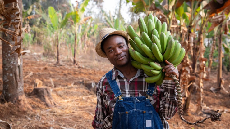 A farmer holds bananas on his shoulder as he smiles into the camera.
