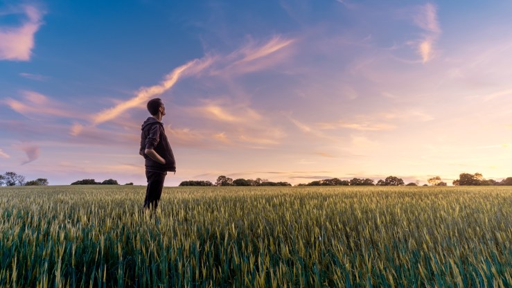 A young man stands in a field of wheat as he watches the sunset.