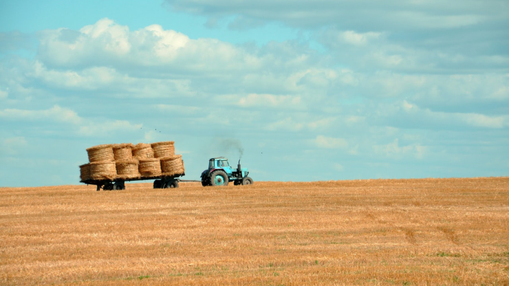 A tractor pulls bales of hay.