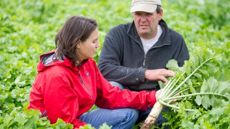 A woman and man kneel in a field, observing crops.