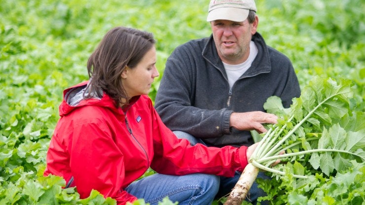 A woman and man kneel in a field, examining crops.