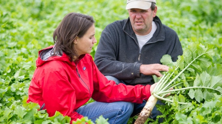 A woman and man crouch in a field, observing crops.