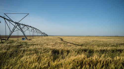 An irrigation system at a farm in Texas