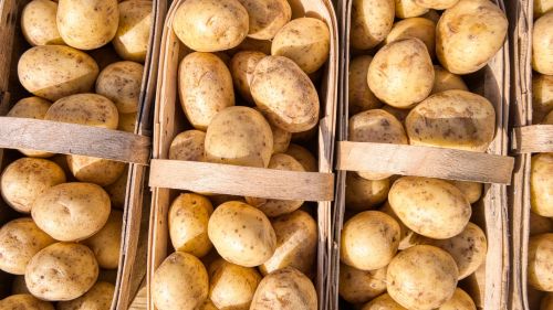 Baskets of potatoes