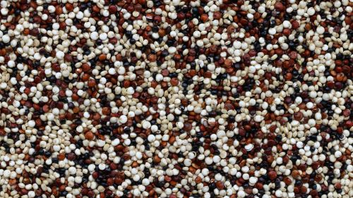 A close-up view of quinoa, a superfood
