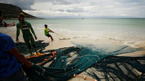 Trek net fishermen haul in their catch on Fish Hoek beach in Cape Town