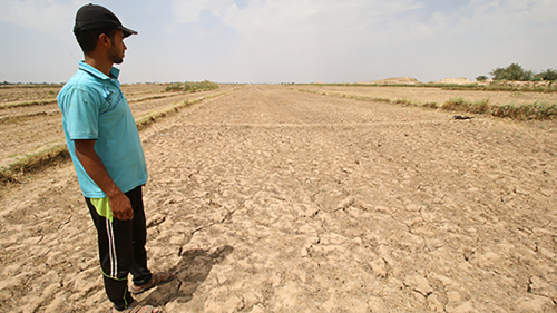 An Iraqi farmer stands in a dry field.