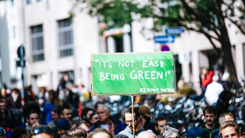 A sign amongst a protest says "It's not easy being green" in white letters on green background