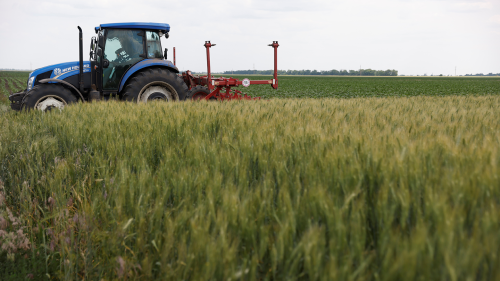 A field of winter wheat is pictured outside Bashtanka, Mykolaiv region, as Russia's attacks on Ukraine continue.