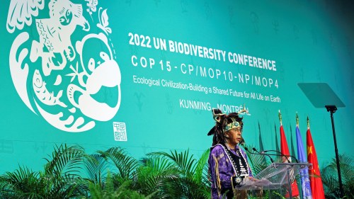 COP15 Summit in Montreal, December 2022