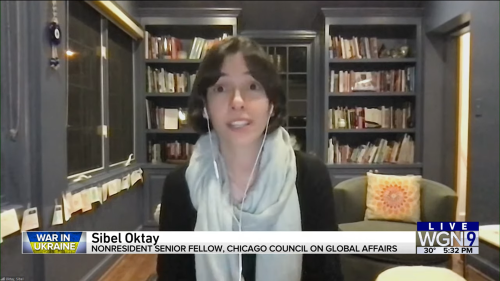 Screen shot of Sibel Oktay in an office with bookshelves in background on WGN Chicago.