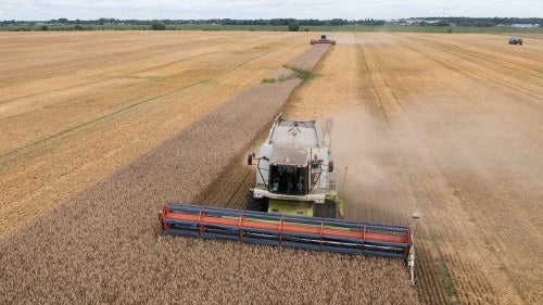 Harvesters collect wheat in the village of Zghurivka, Ukraine.