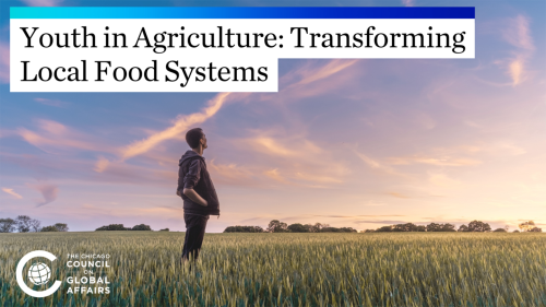 The title "Youth in Agriculture: Transforming Local Food Systems" overlays an image of a young man standing in a field of wheat, watching the sunset.