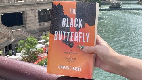 The Black Butterfly