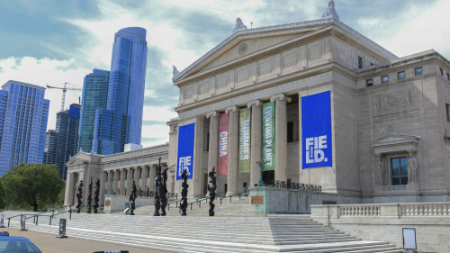 An exterior shot shows the large Greek-colonnaded facade of the Field Museum, with the Chicago skyline in the background